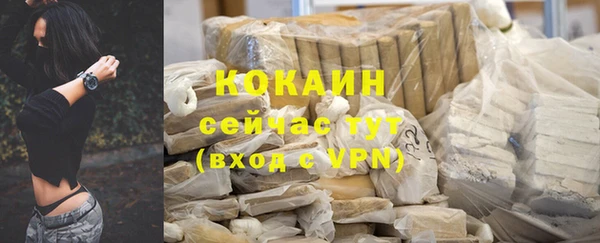 гидра Аркадак