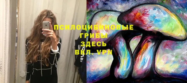 гидра Аркадак