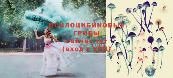 дмт Баксан